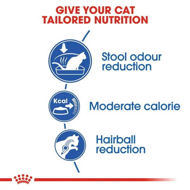 Royal Canin Indoor Cat Food | Indoor 27 Cat Food