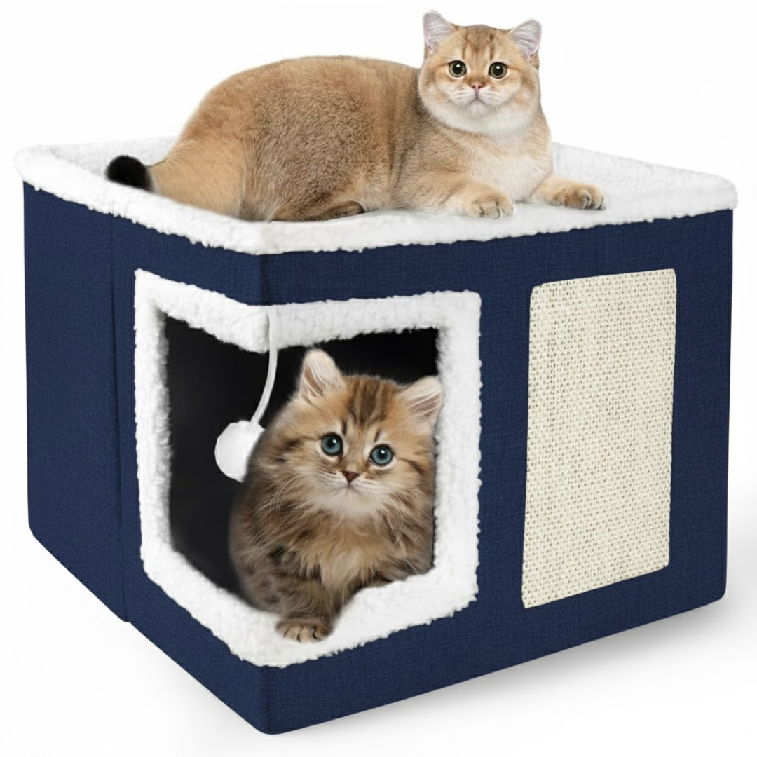 Blue-Corner-Door Cat House