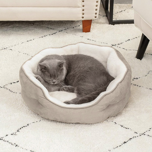 Brown Cat Bed Qatar