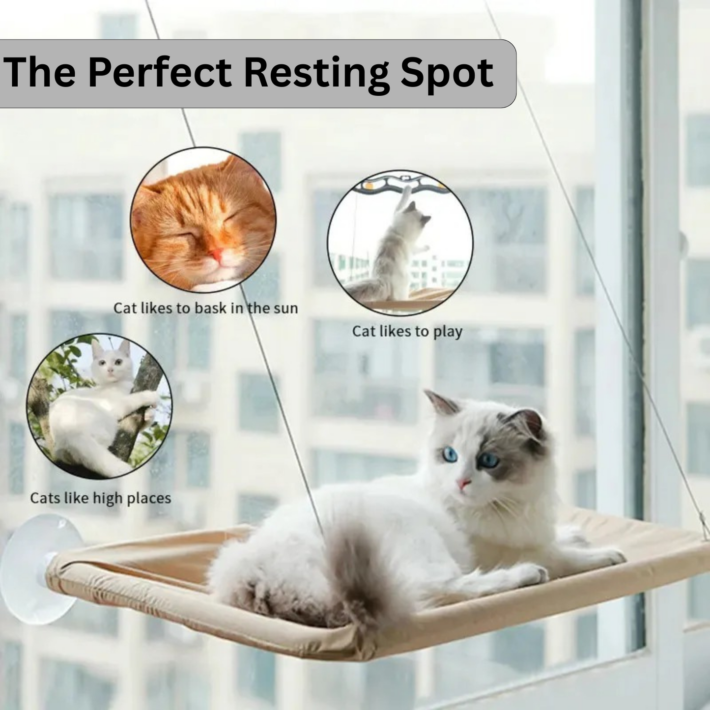 Cat Hammock | Cat Window Bed
