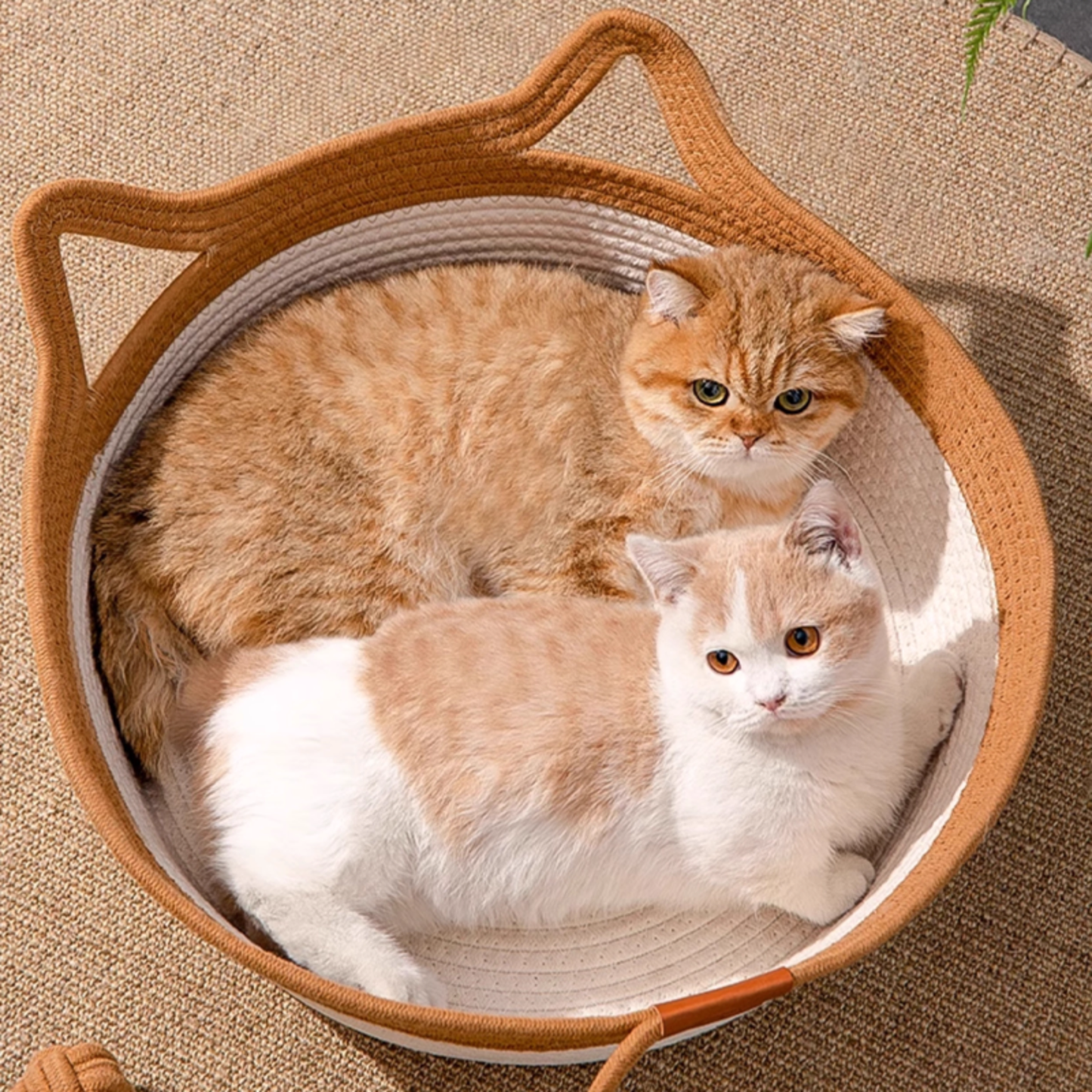 Cotton Rope Cat Nest | Cat Basket Bed