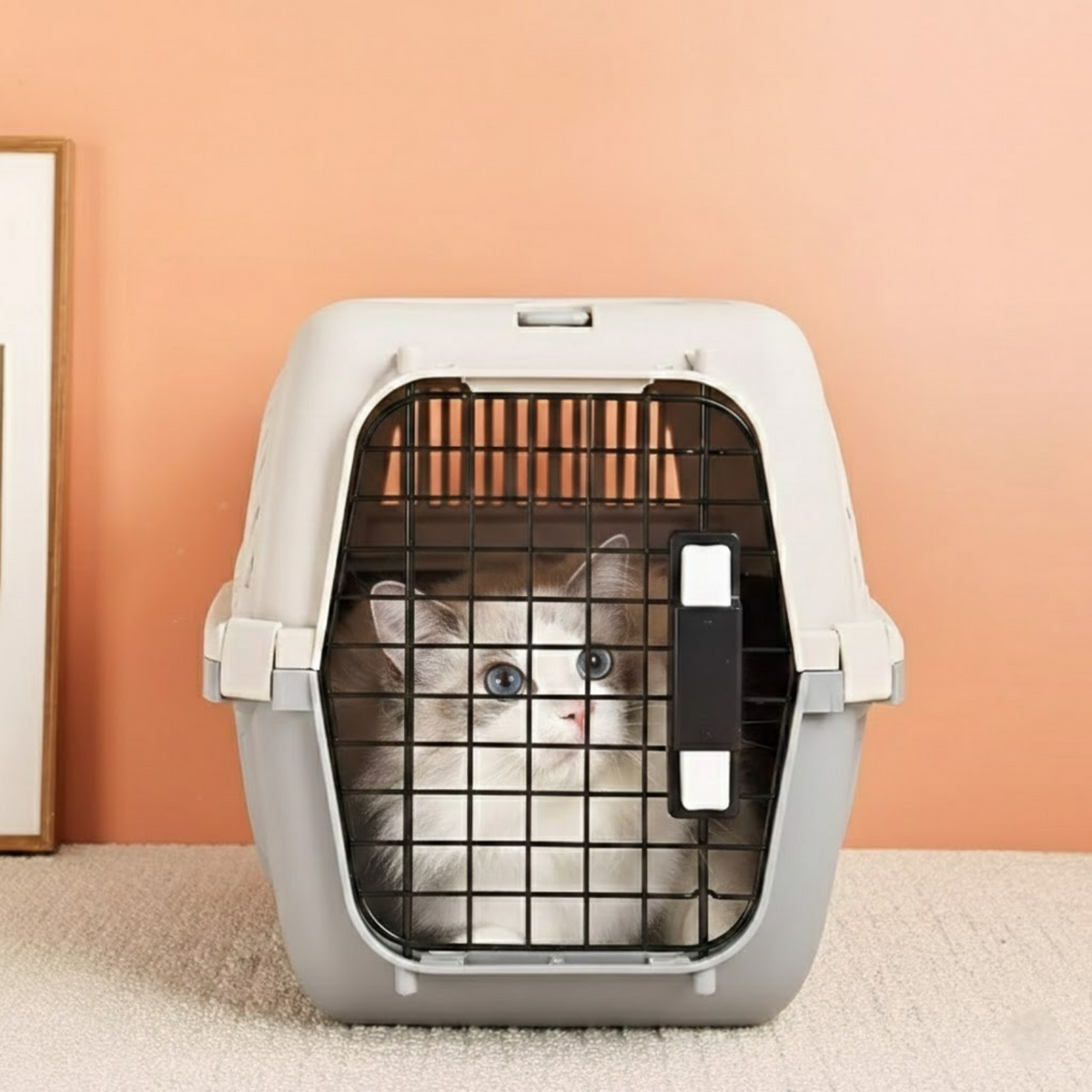 Cat Carrier Cage | Cat Travel Cage