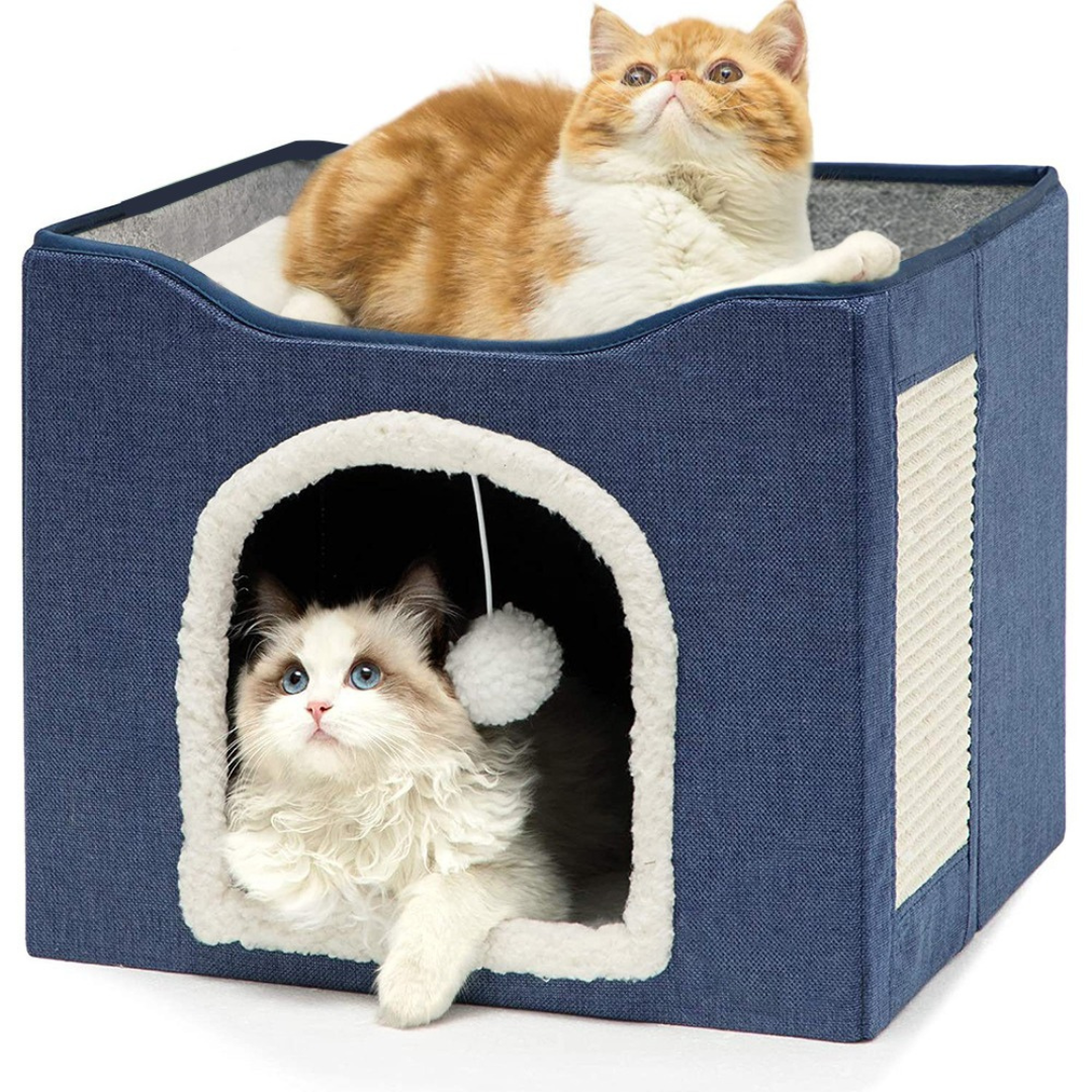 Blue Cat House