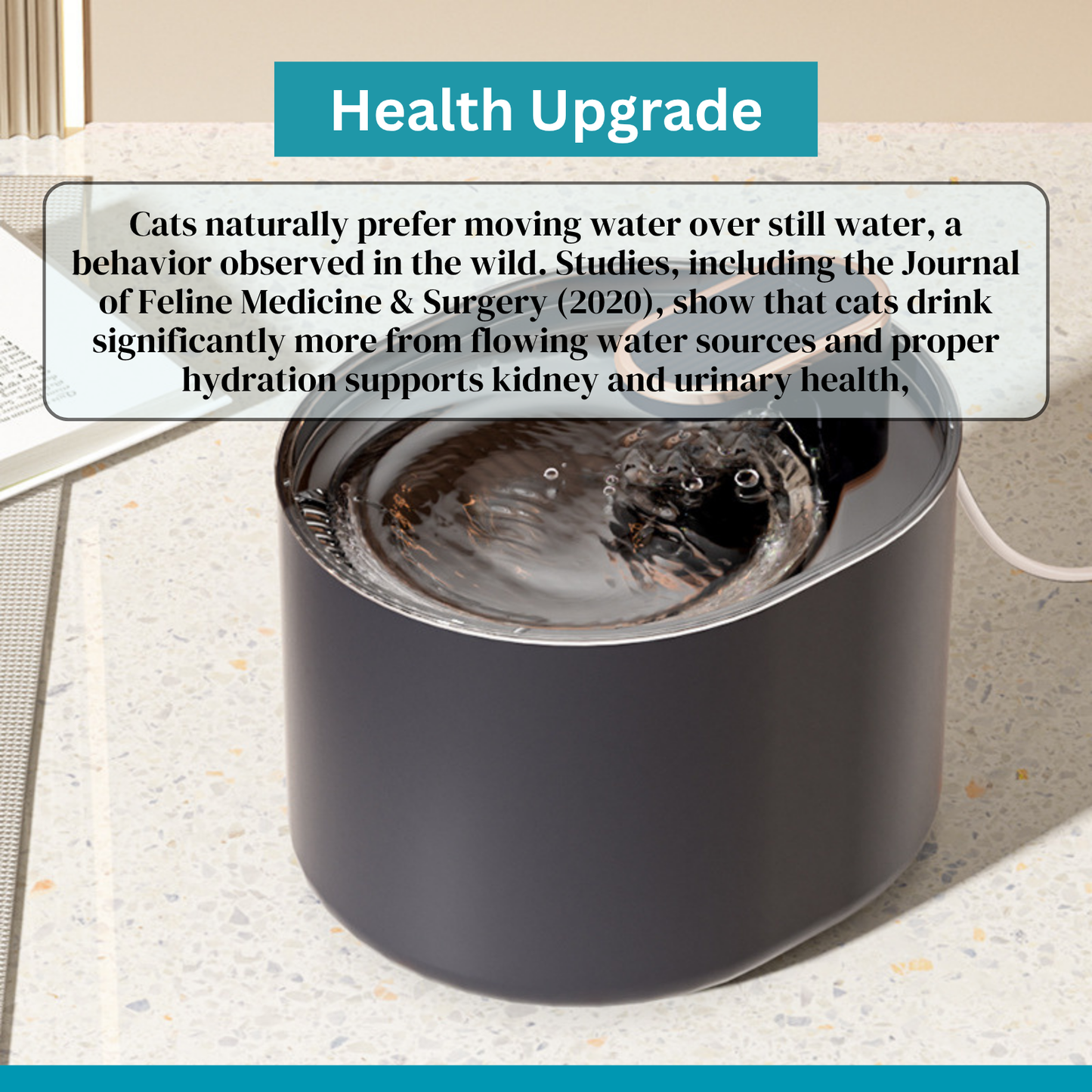 نافورة مياه للقطط | نافورة ترطيب للقطط سعة 3 لترات