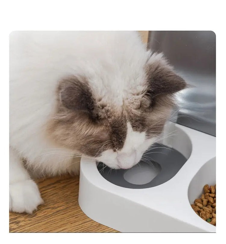 موزع طعام وماء للحيوانات الأليفة | وحدة تغذية تعمل بالجاذبية