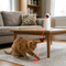Laser Light Cat Toy | Automatic Laser Toy for Cats