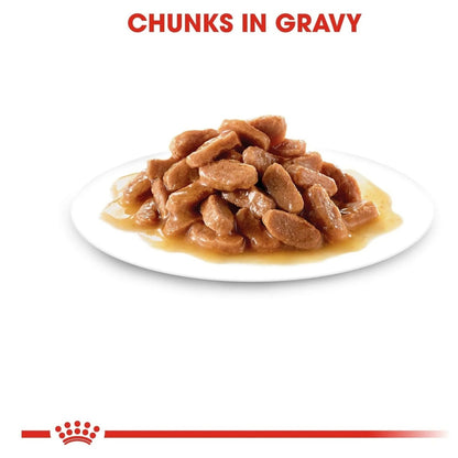 Royal Canin Kitten Wet Food |  Gravy Box (12 pouches)