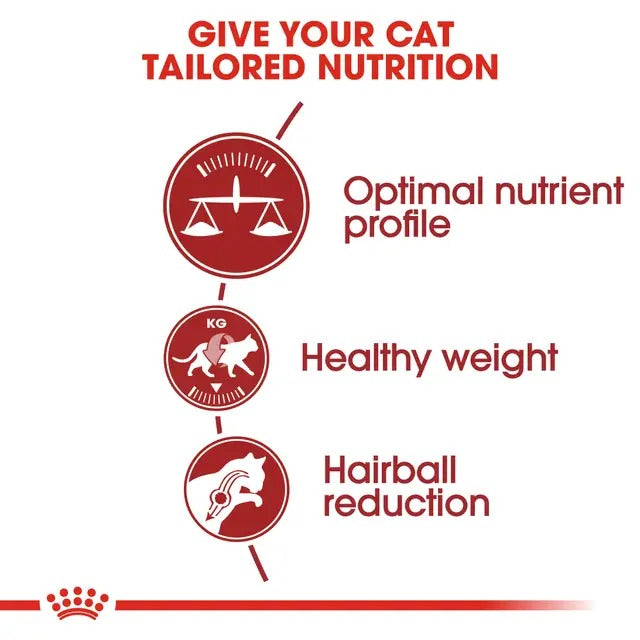 Royal Canin Cat Food |  Royal Canin Fit 32