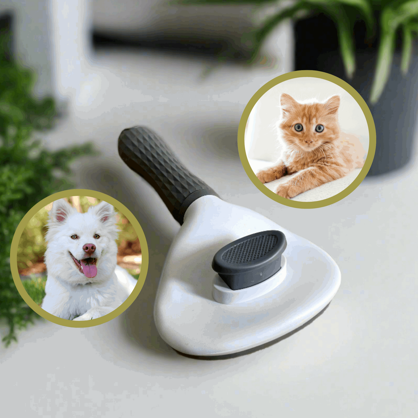 Self Cleaning Cat / Dog Brush
