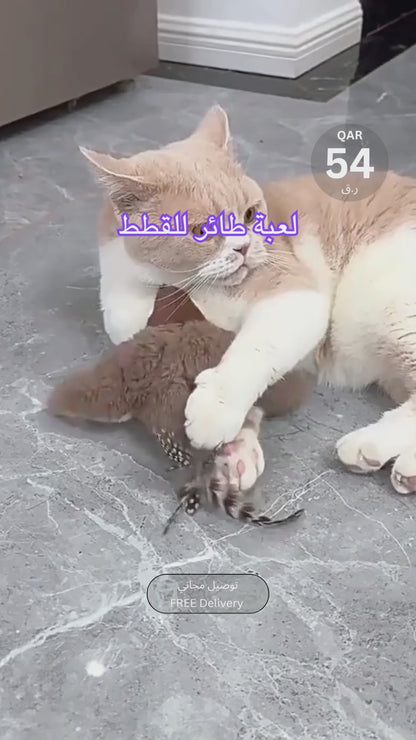 Flapping Bird Cat Toy |  Interactive Bird Toy for Cats