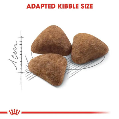 Royal Canin Indoor Cat Food | Indoor 27  Cat Food