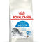 Royal Canin Indoor Cat Food | Indoor 27  Cat Food