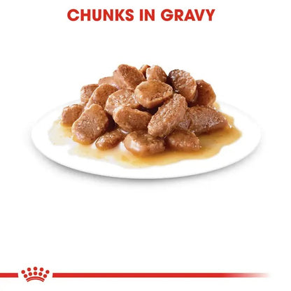 Royal Canin Sterilised Cat Wet Food | Gravy Box (12 pouches)